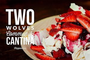 Two Wolves Community Cantina, Chippendale,. Sydney Food Blog Review