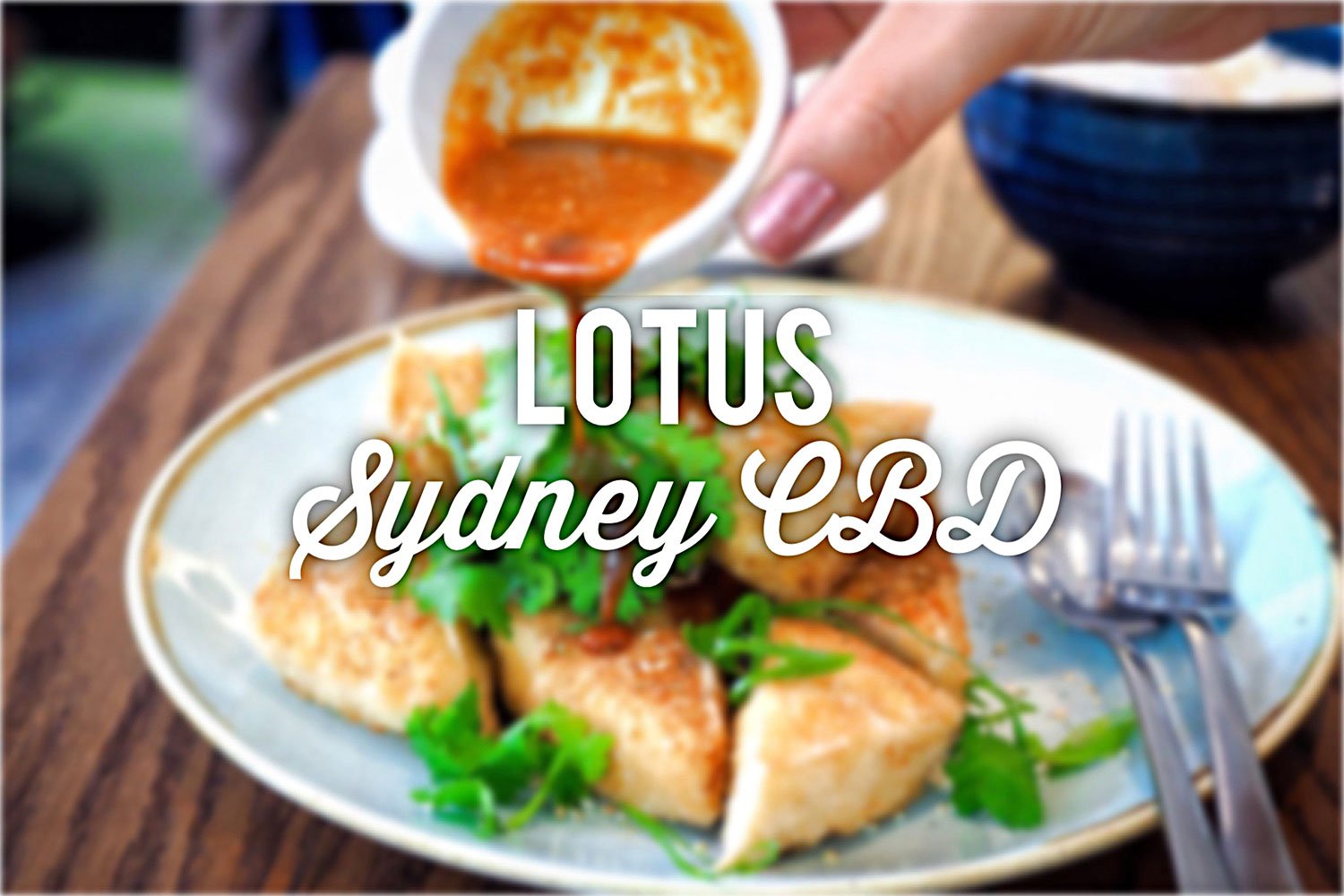 Lotus, Sydney CBD. Sydney Food Blog Review